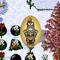 Click to enter the Holiday Lodge
