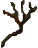 Dry Wood
